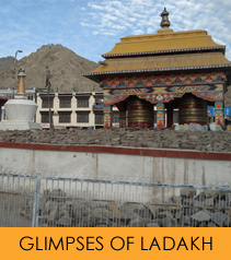 Glipses of Ladakh