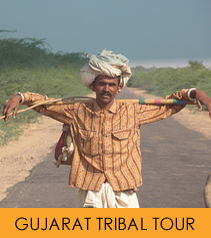 Gujarat Tribal Tour