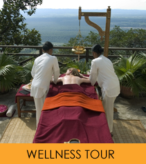 Wellness Tour