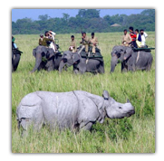 Kaziranga National Park