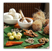 Ayurveda Herbs